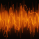 Illustration for article titled Which animal can hear the highest-pitched sounds?
